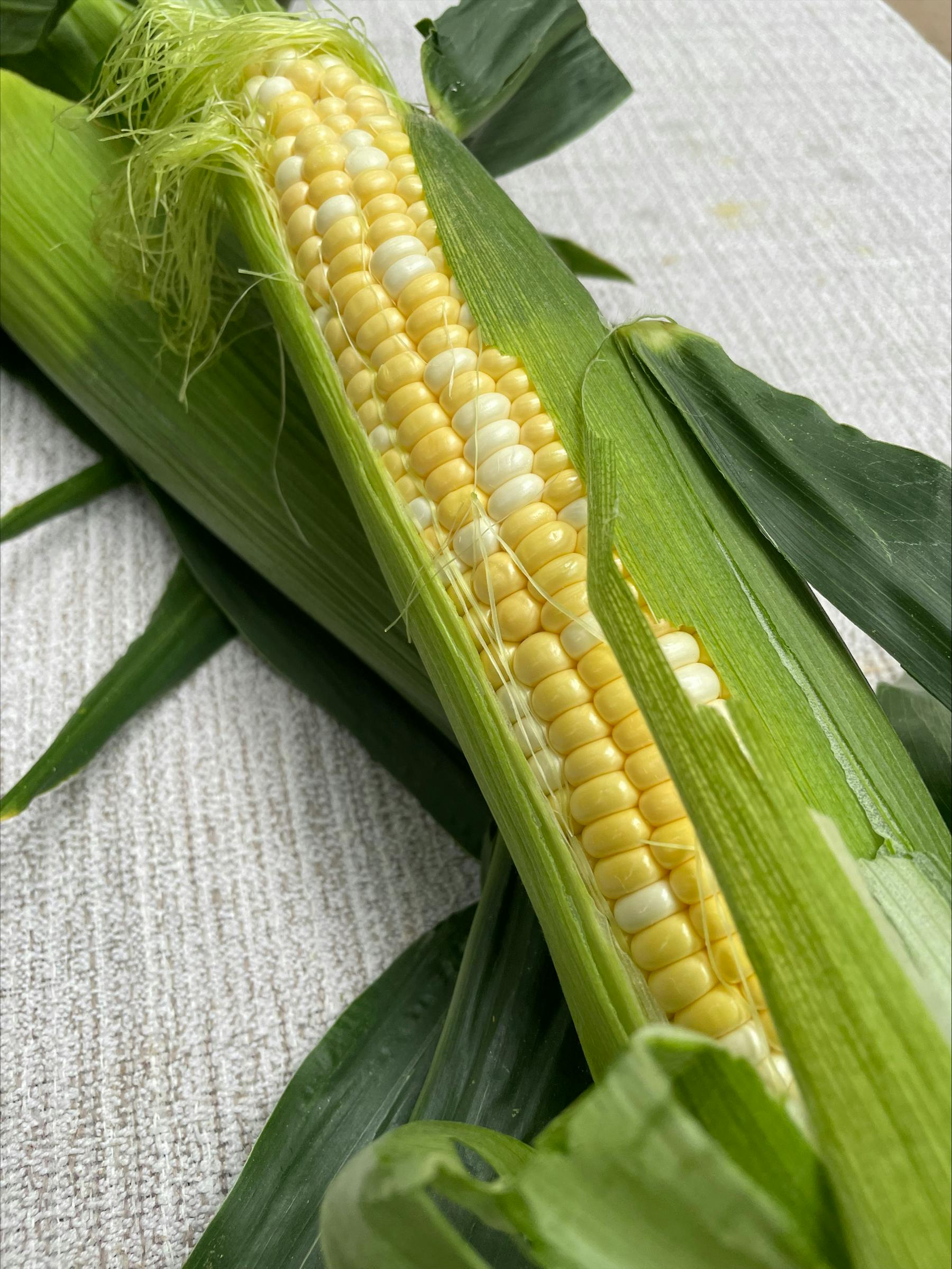 a green corn