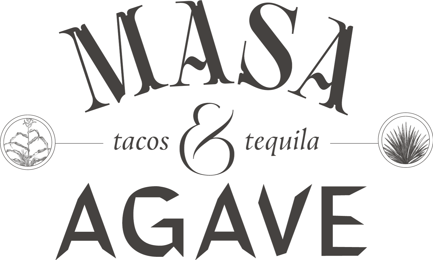 Masa & Agave New Landing Page Home