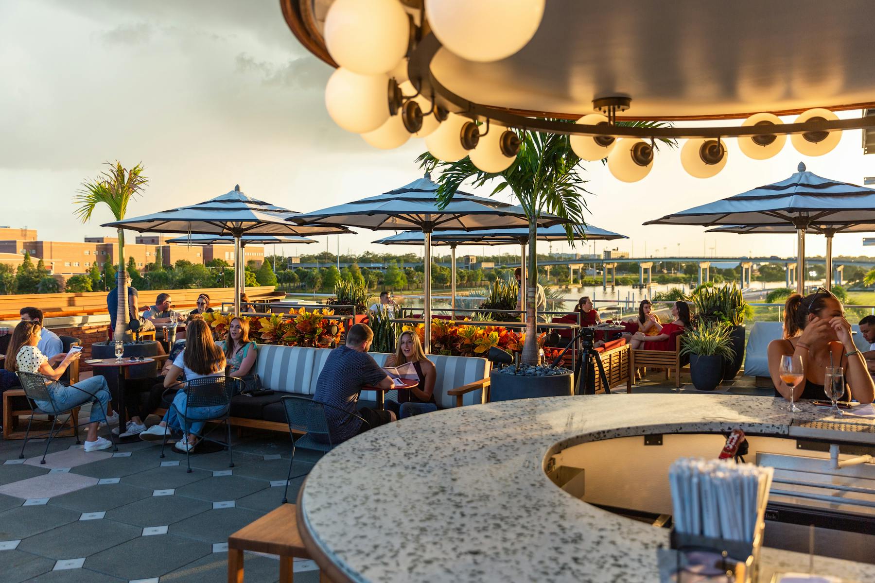 M Bird Tampa m-bird-tampa