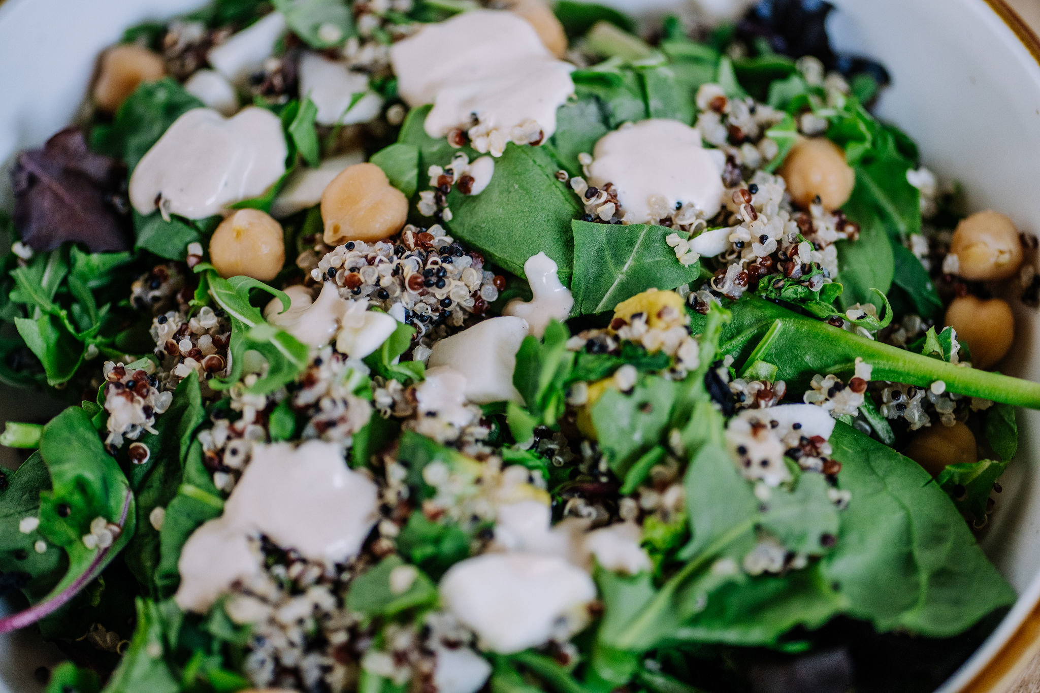 a close up of a plate of food with a green plant