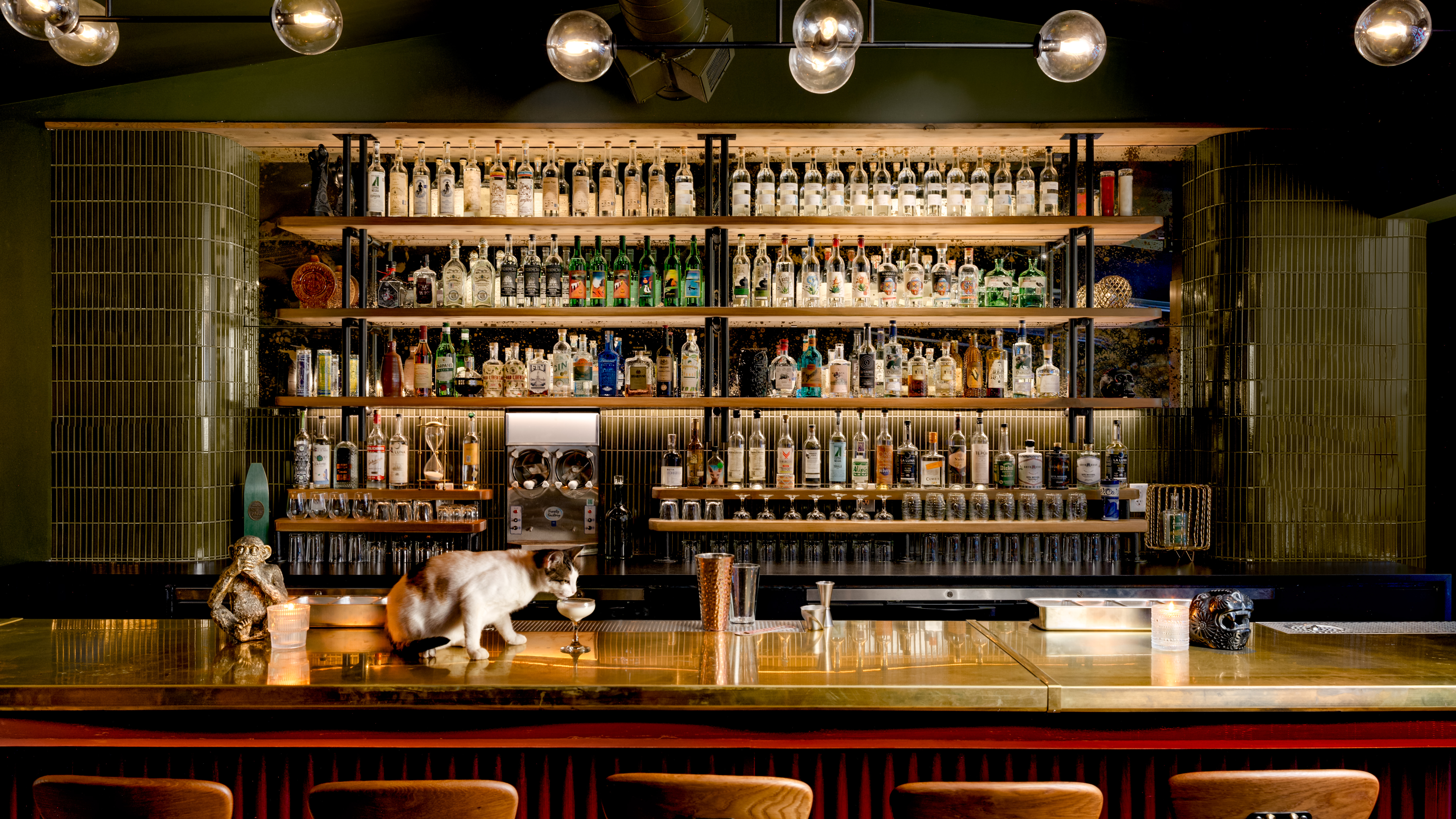 Bar photo 2