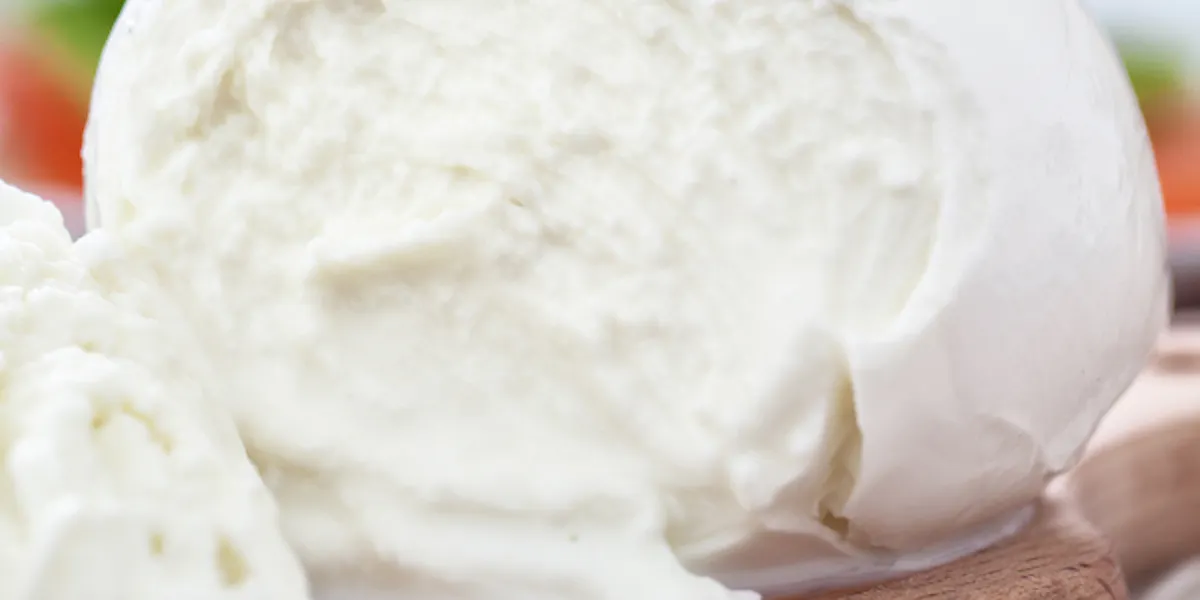 Filata Mozzarella and Beyond: The Story of Pasta Filata Cheeses (Or, It’s Not ...
