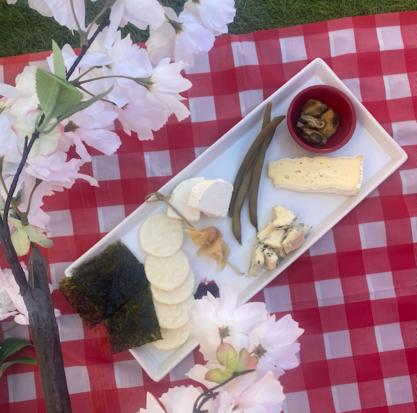 a pink flower on a table