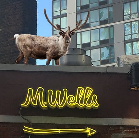a couple of sheep standing on top of a building