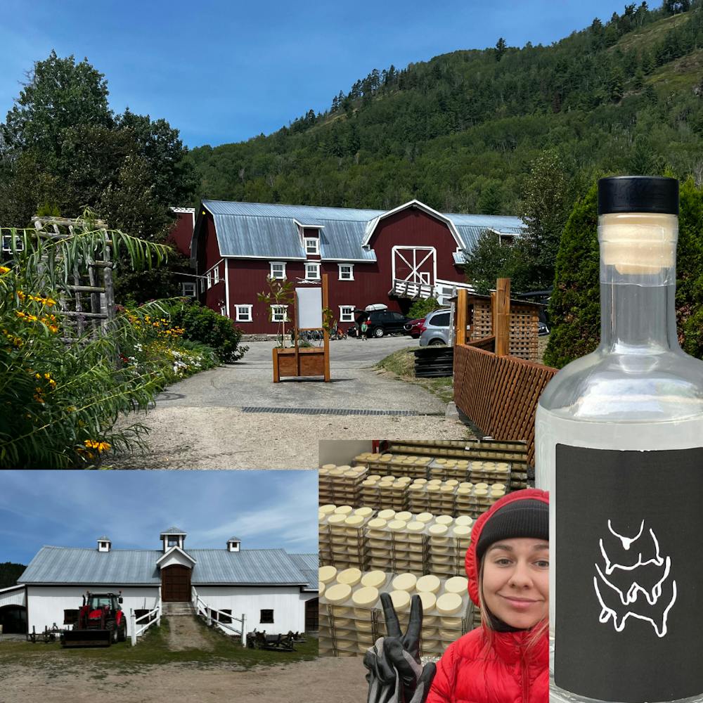 a group of people standing in front of a mountain