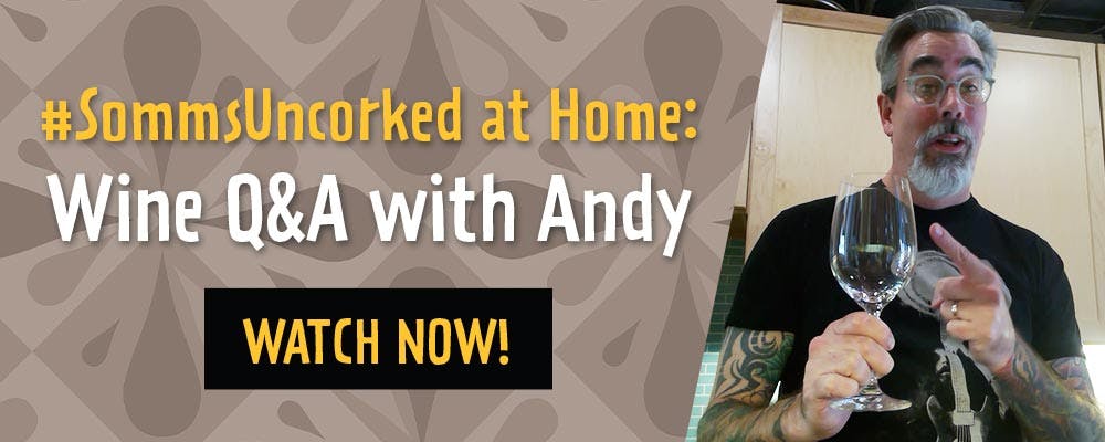 a person holding a sign