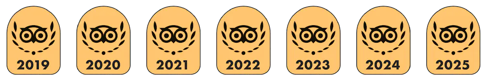 a yellow and black logo with an owl and leaves