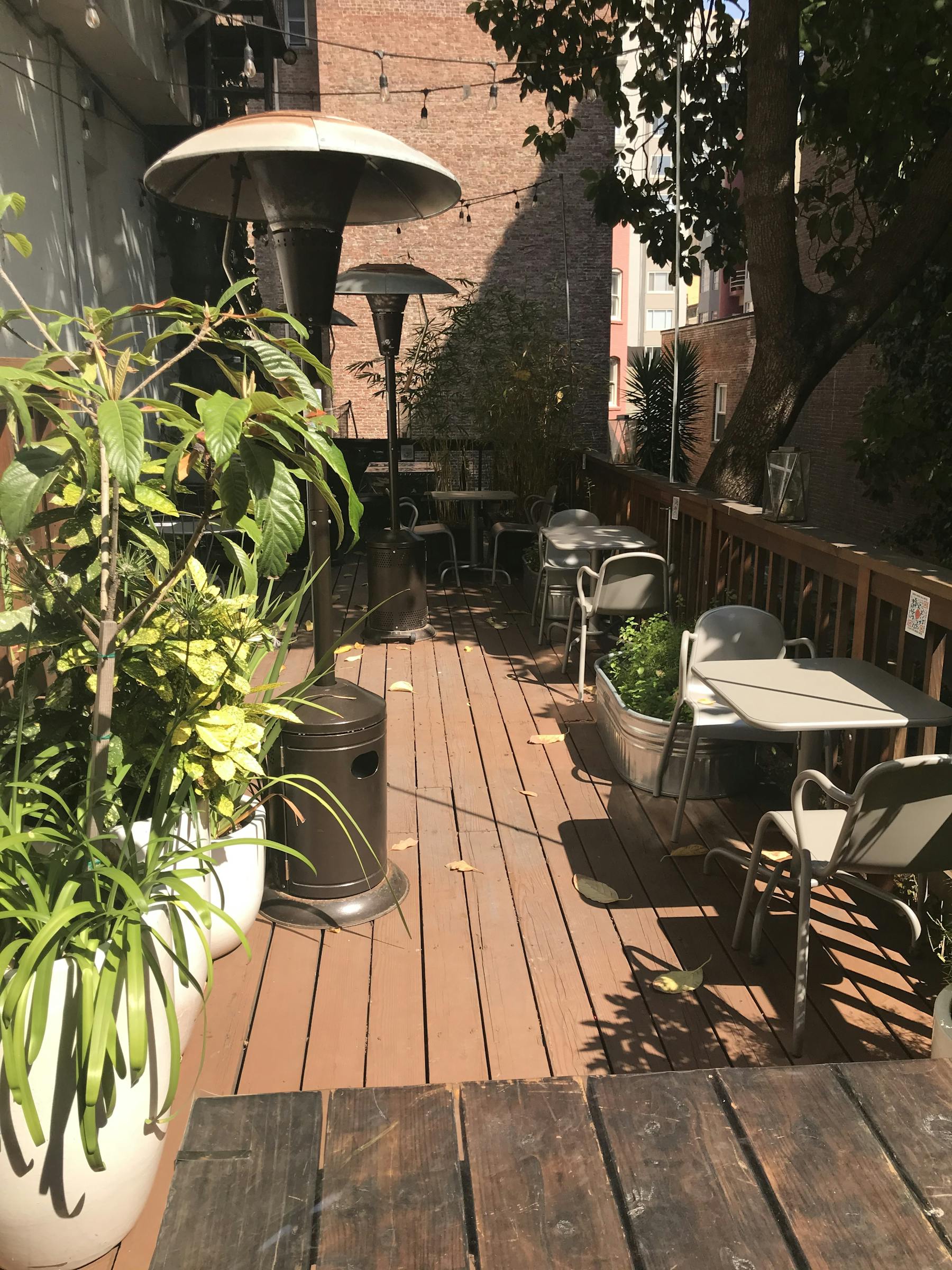 a dining table in a garden