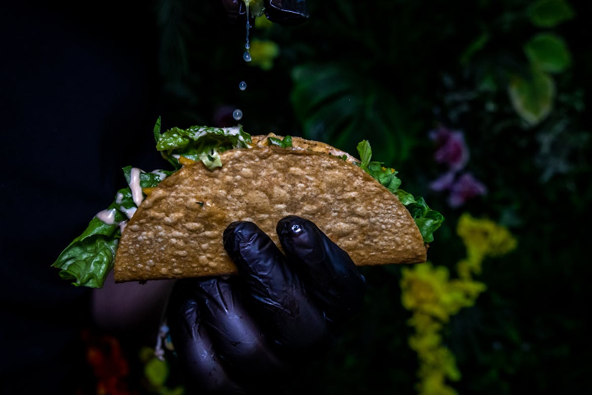 a piece of cake sitting on top of a green plant