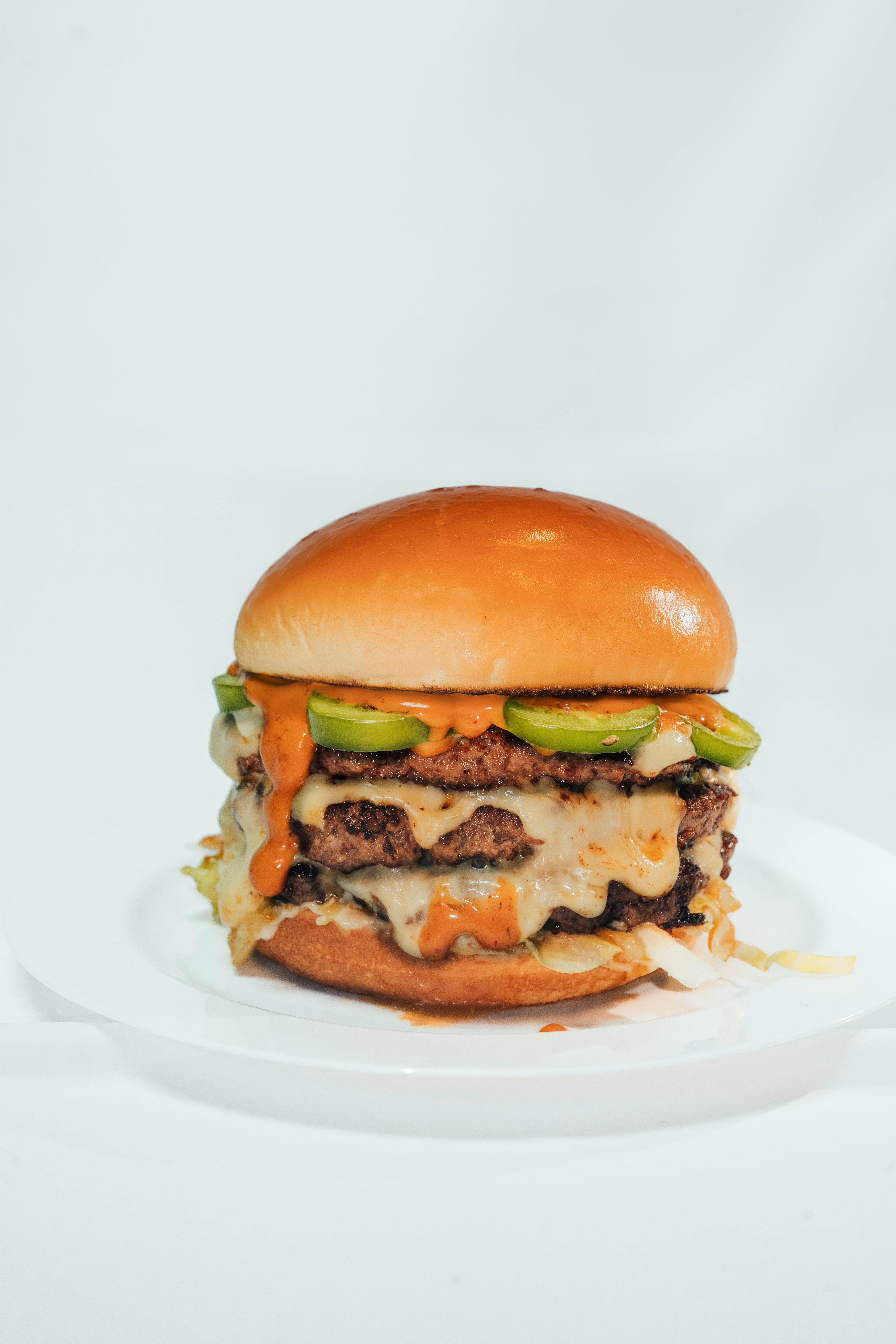 a sandwich on a plate