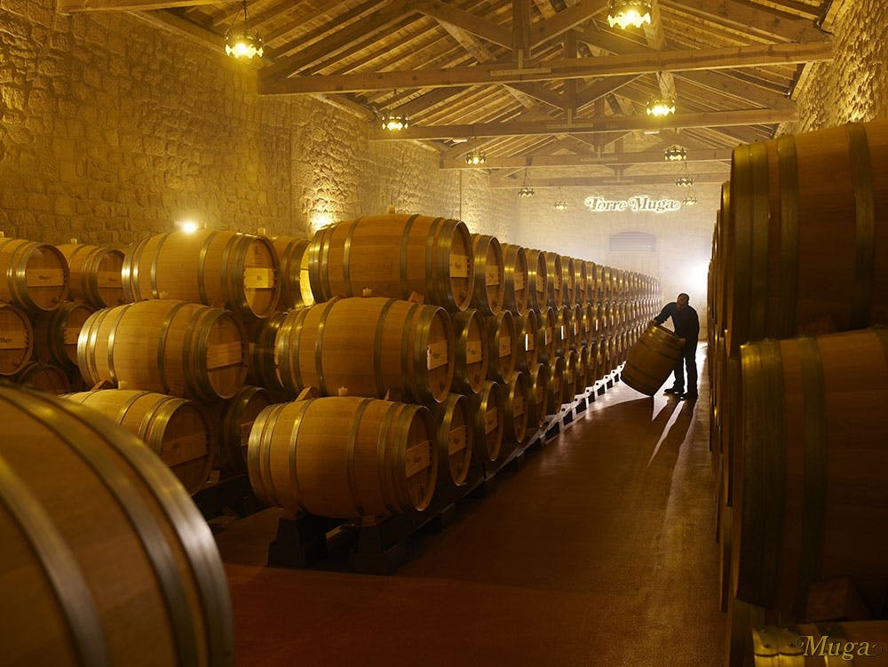 Muga Winery barrels