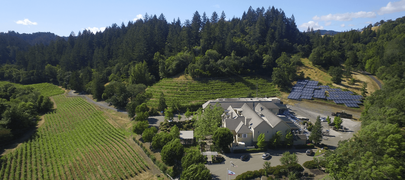 Hartford Family winery - extra