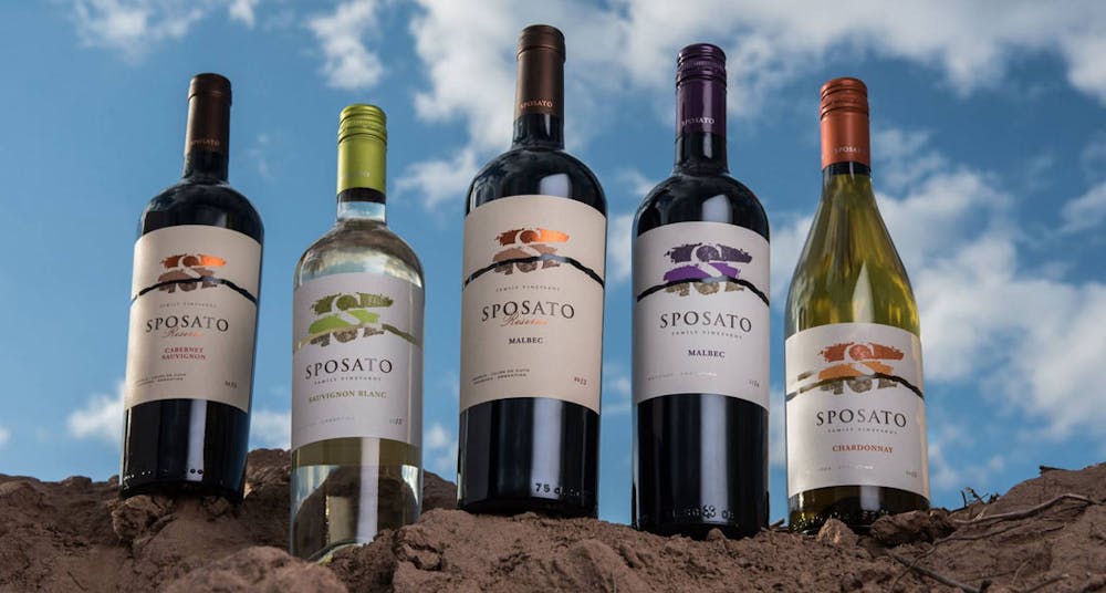 Sposato Wine Dinner - splash