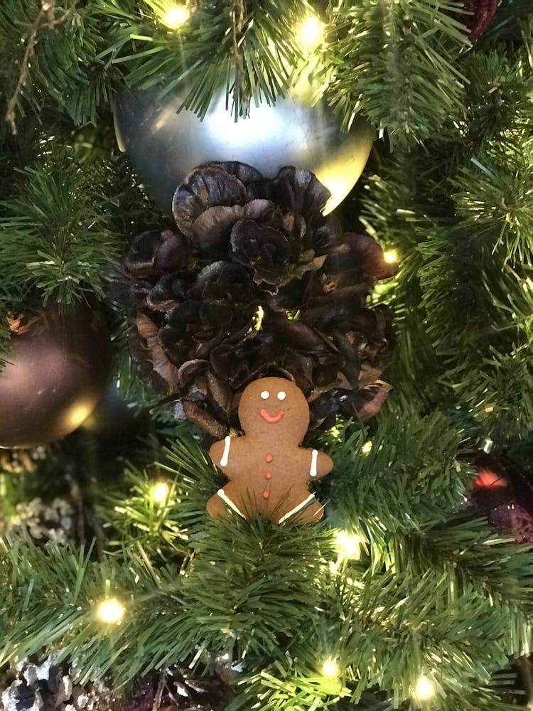 a gingerbread man cookie in a tree