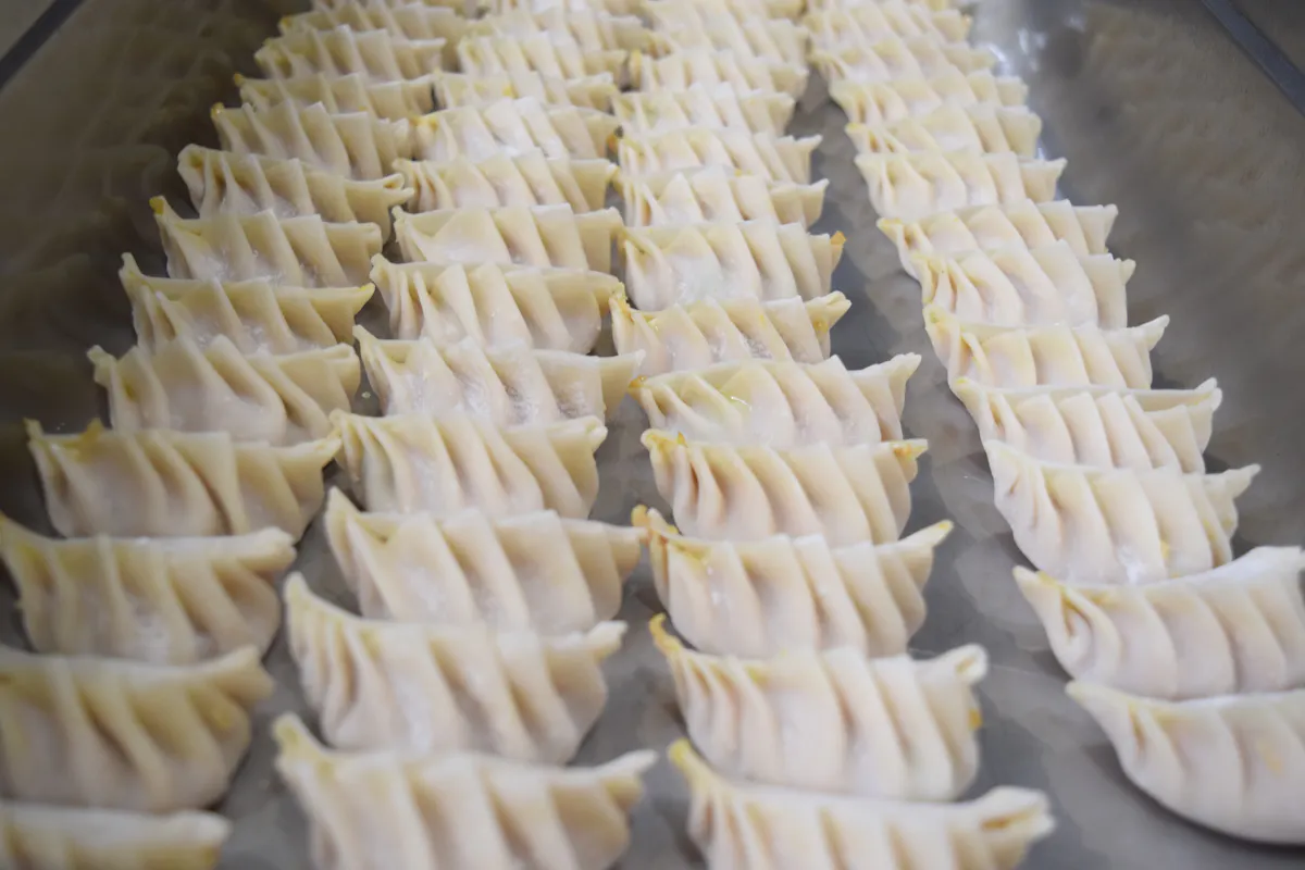 Dumplings made In house
