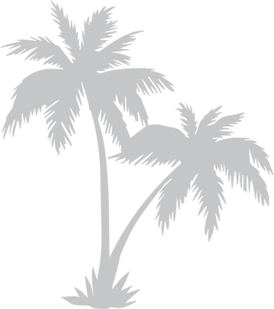 a close up of palm trees
