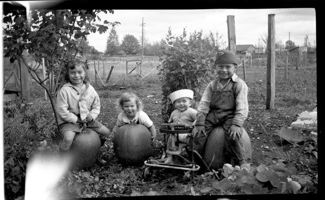 a group of people sitting in the grass