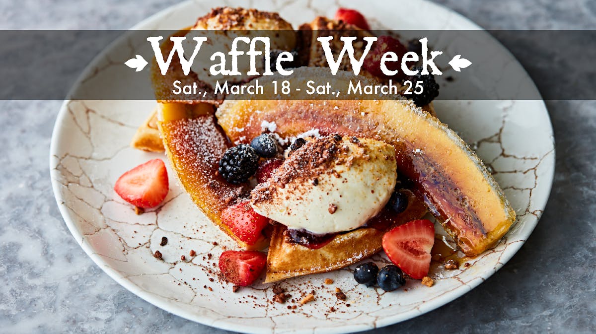 sugarcane full elvis waffle dish on a plate promoting waffle week.