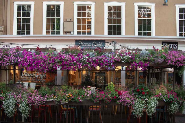 Patio Dining on the Santa Fe Plaza