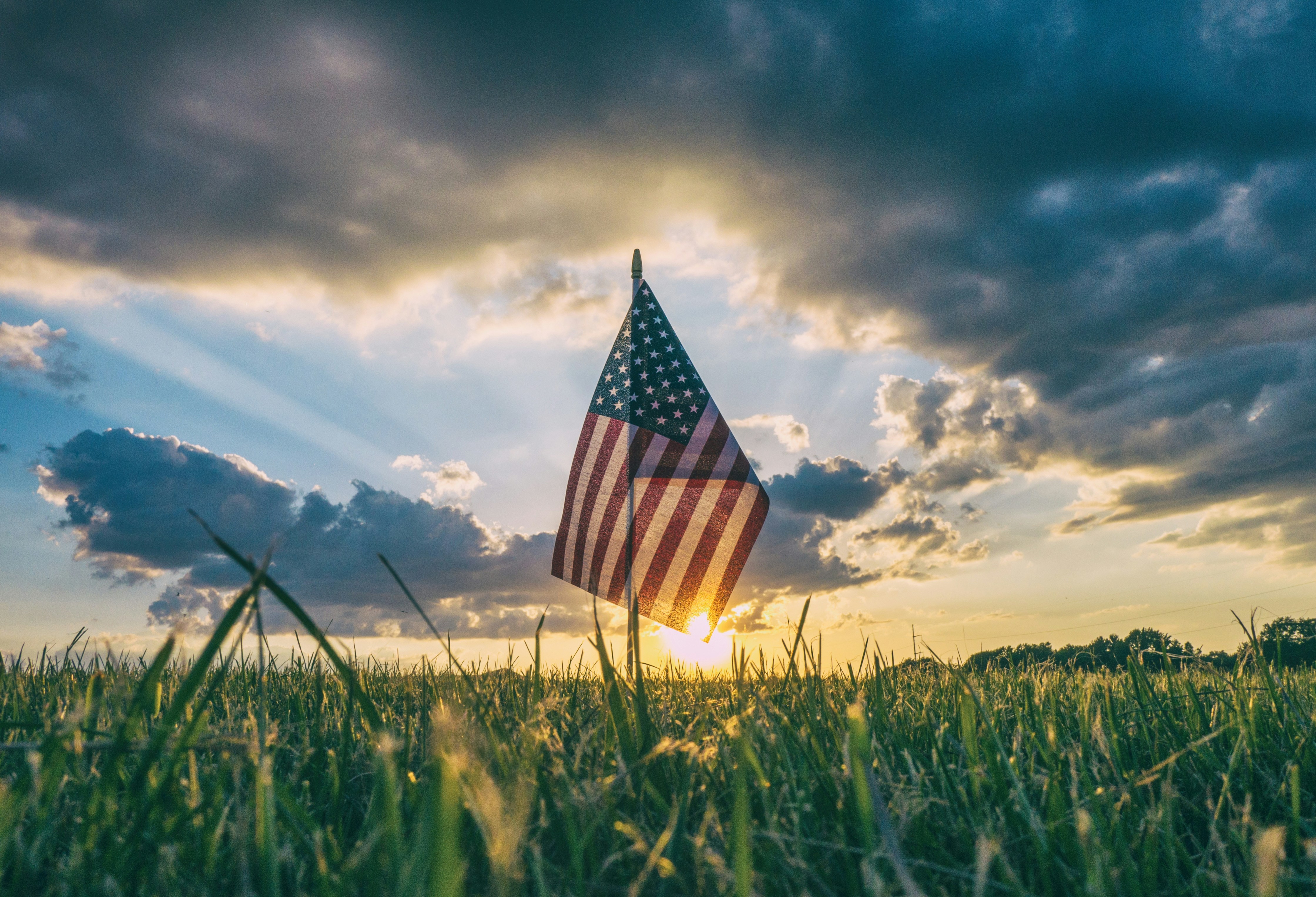 a flag in a field