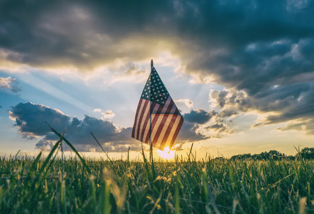 a flag in a field