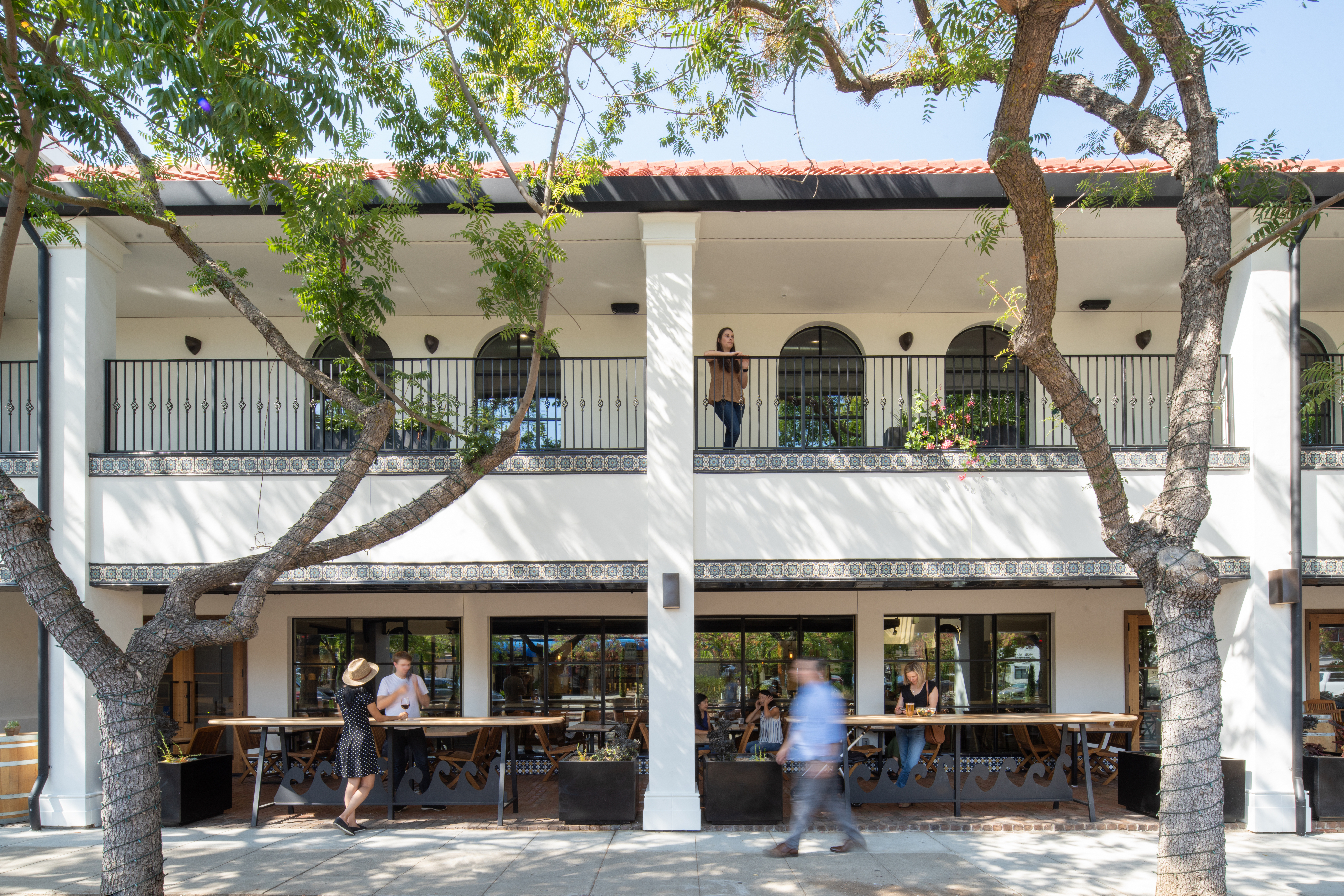 a tree in front of a building