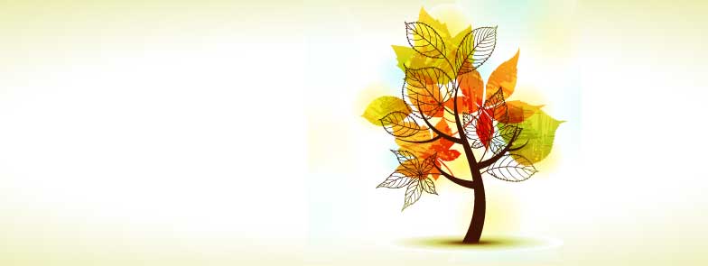 a tree with leaves on it