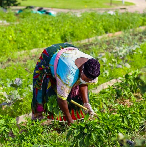 a little boy that is standing in the grass
