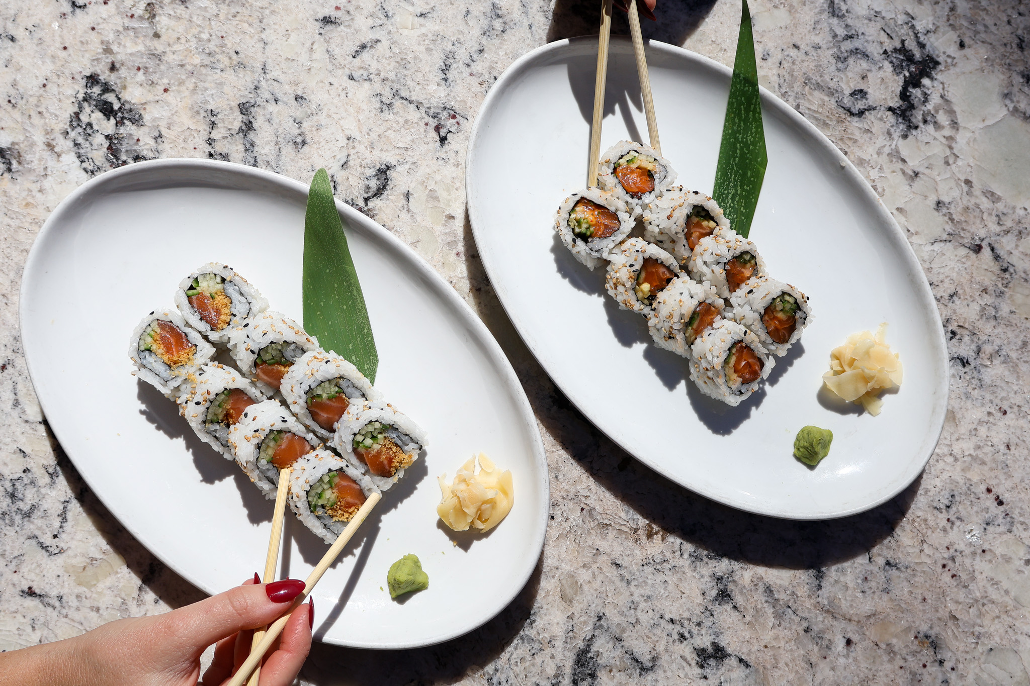 Two Sushi Plates