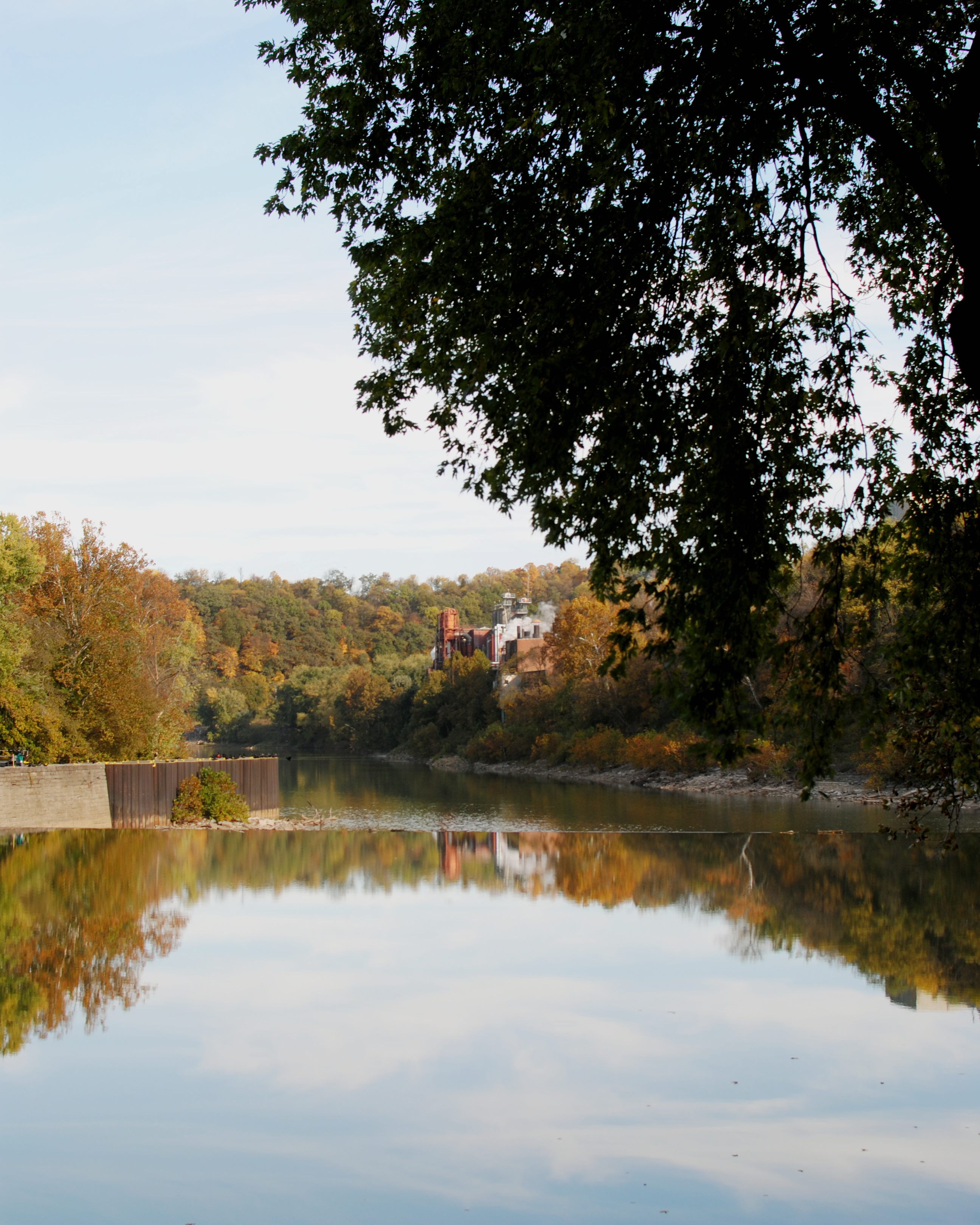 a body of water surrounded by trees