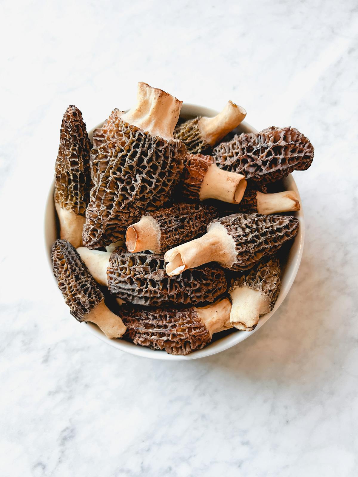 a close up of a desert