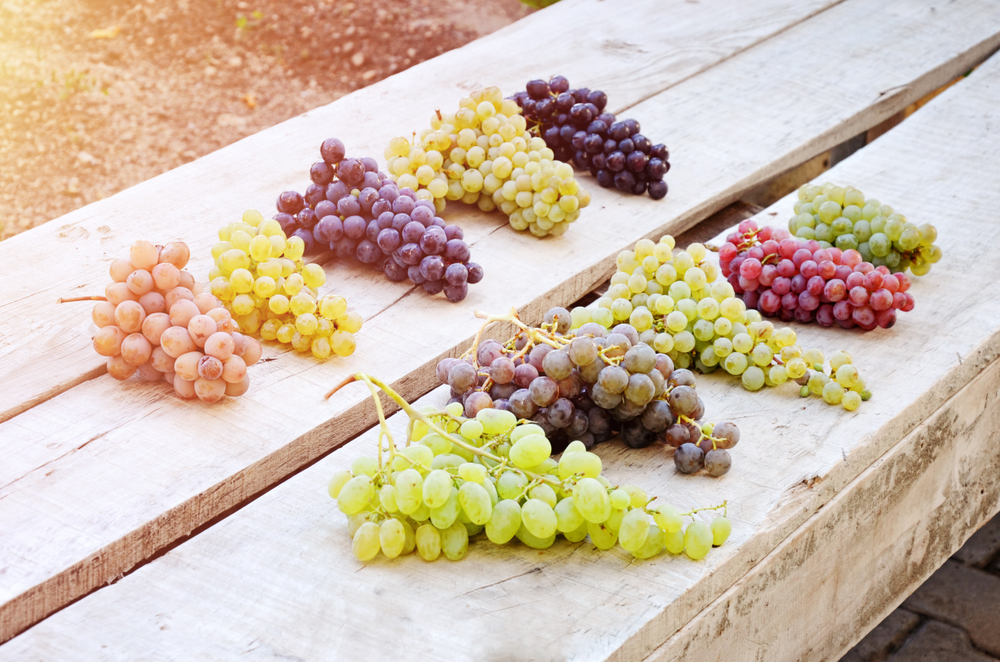 Chelsea Market | If You Like That; You'll Love This: Obscure Grapes ...