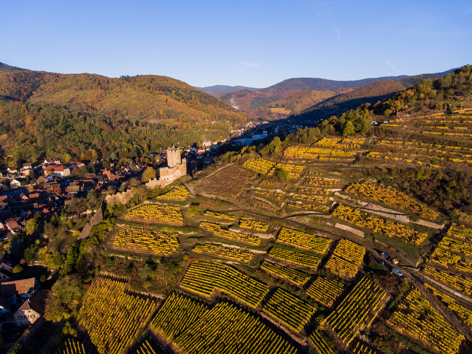 Union Square | French Holiday: Alsace | Corkbuzz