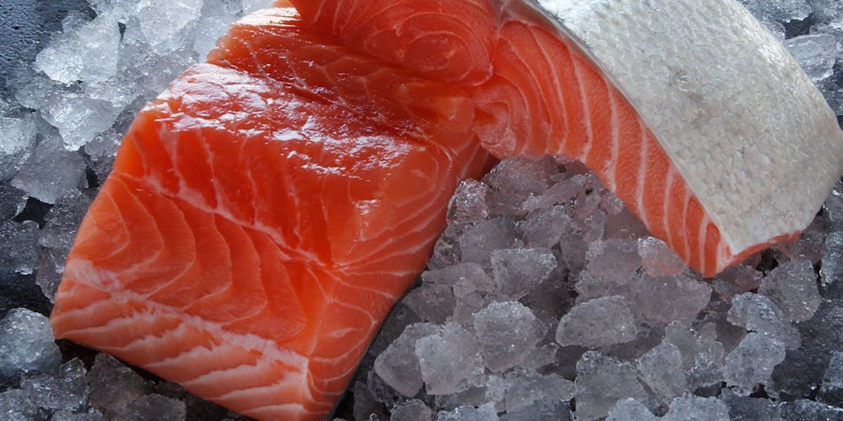 Do's & Don'ts of Defrosting Frozen Fish | Pescatore
