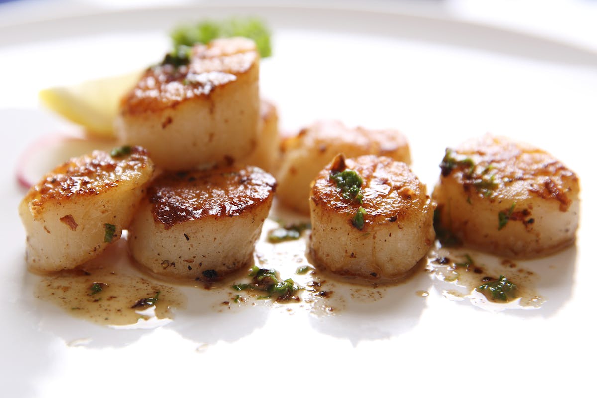 a plate of food