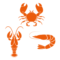 a close up of a logo
