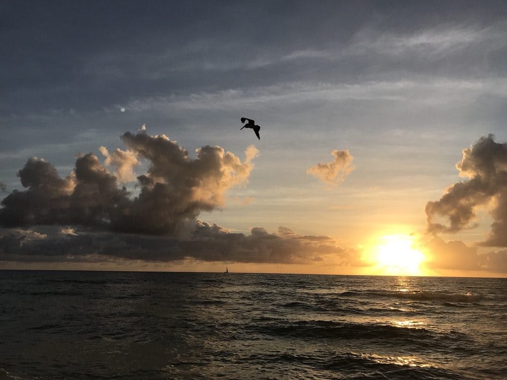 a group of clouds in the sky on a beach