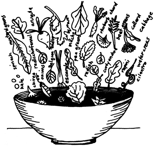 a close up of a coral