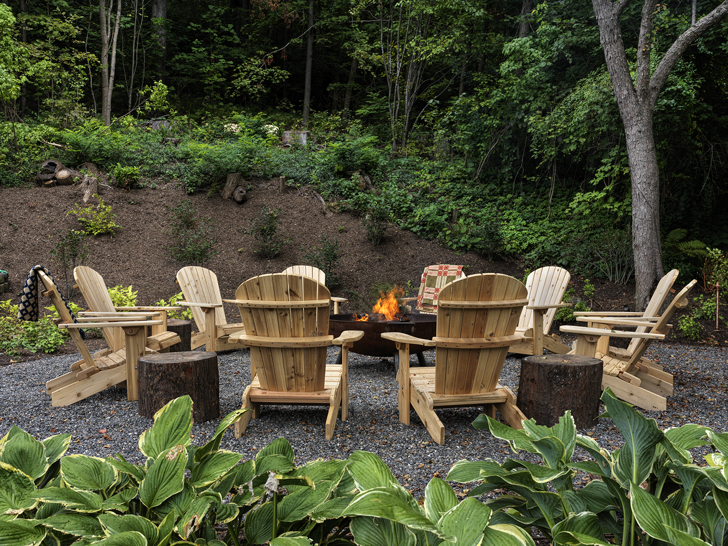 a wooden bench in a garden