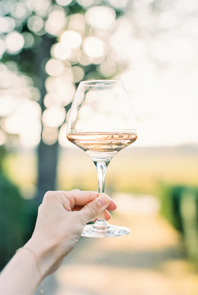 a person holding a wine glass