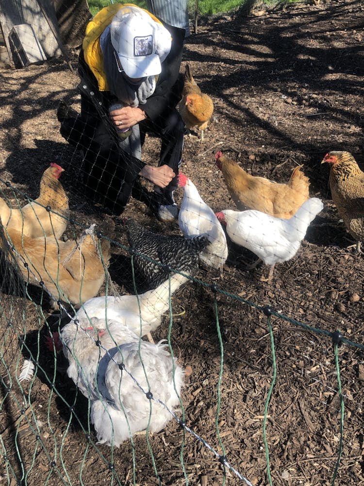 a group of stuffed animals sitting on top of a pile of hay