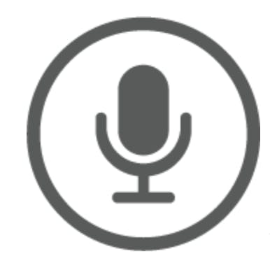 Voice microphone icon