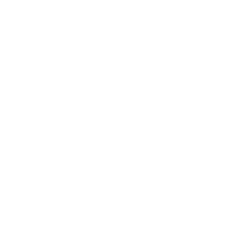 Voice microphone icon