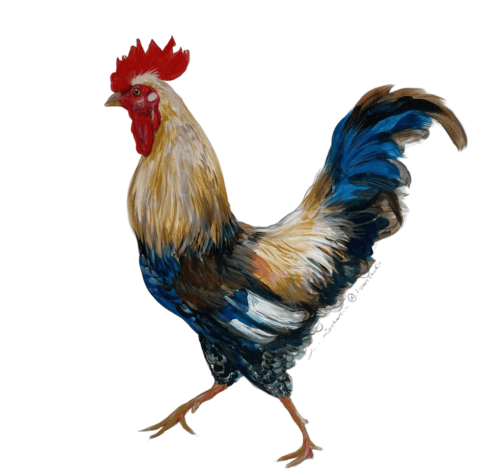 a bird that is standing in the dark