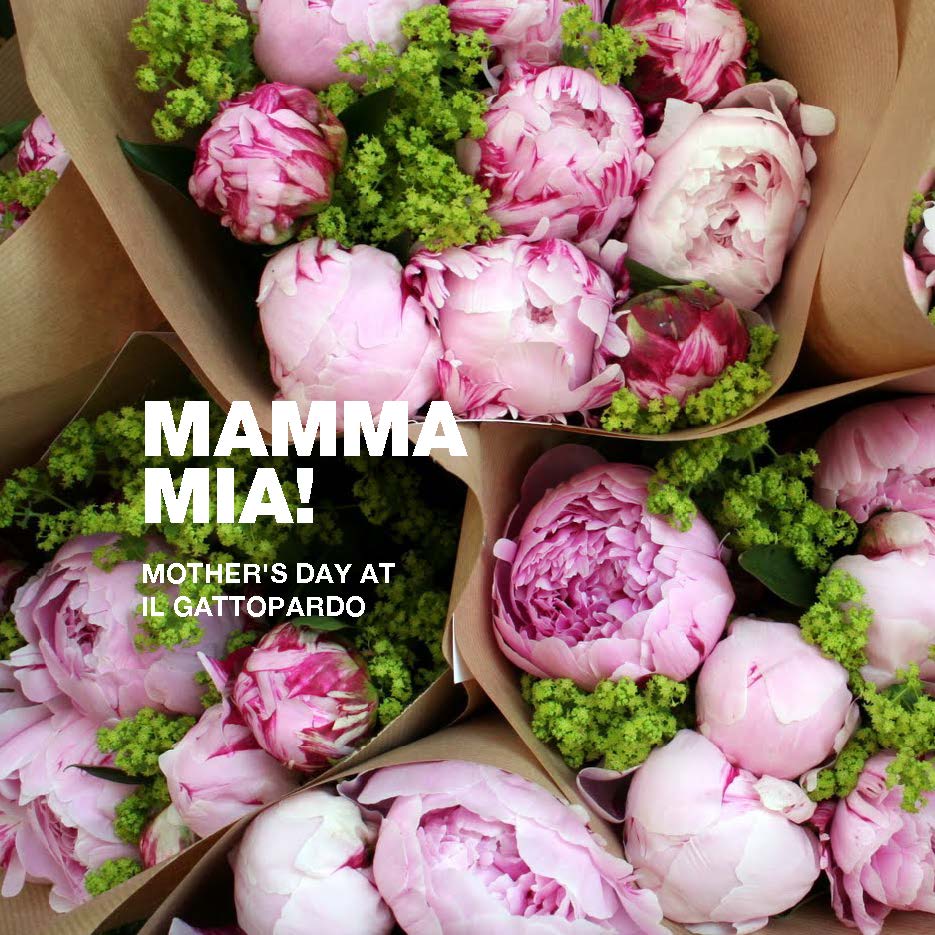 a close up of a bunch of pink flowers