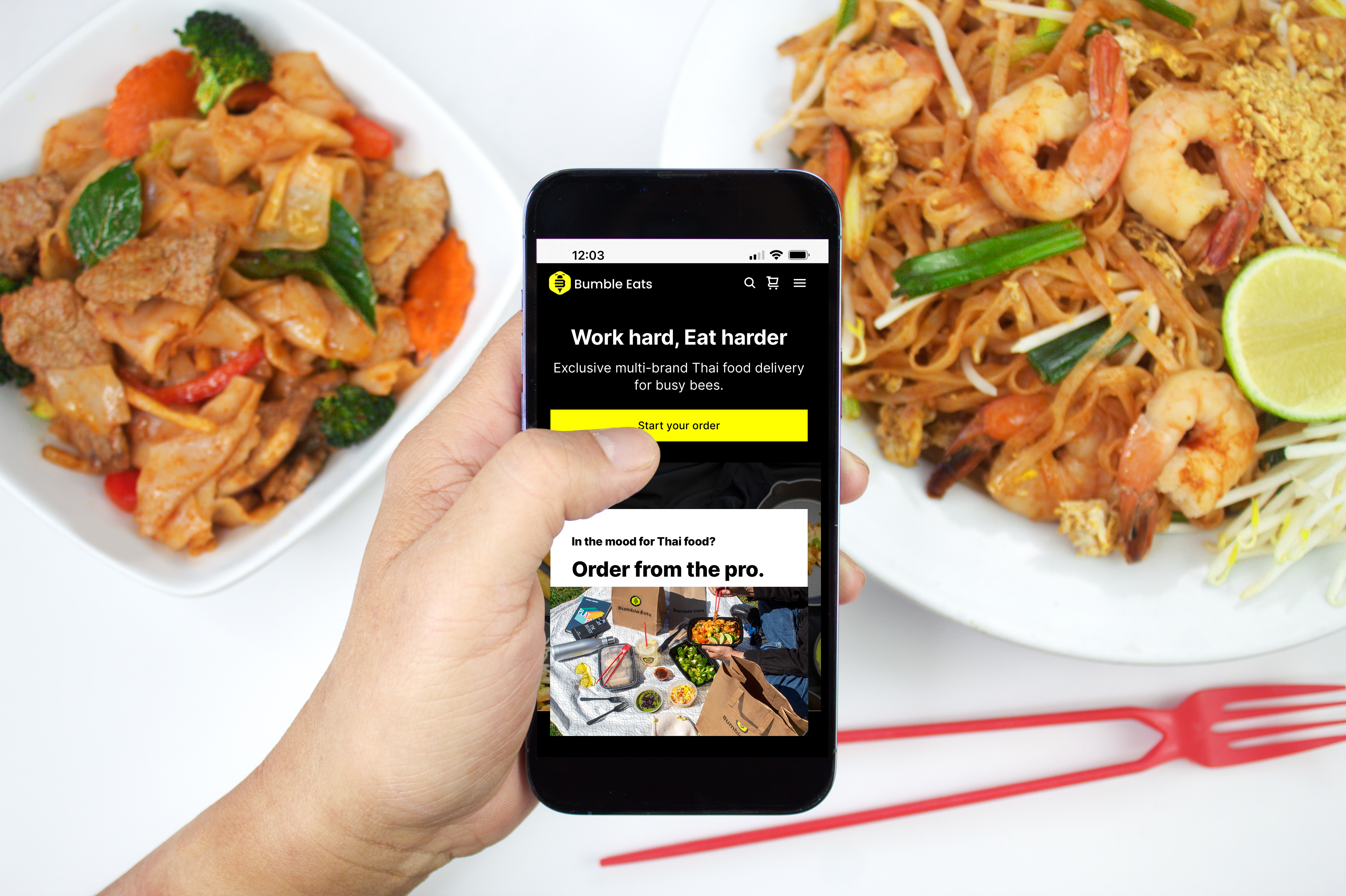 graphical user interface, website