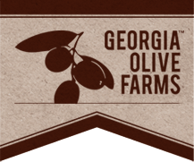 Photo of Georgia Olive Farms