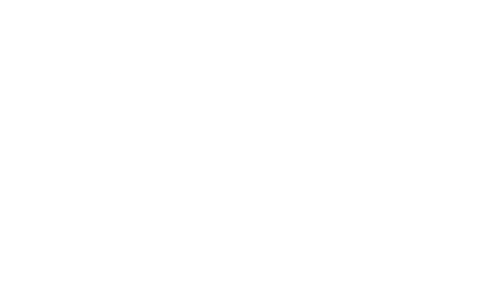 alternate Stout Bryant Park logo: Bryant Park NYC 109 W 39