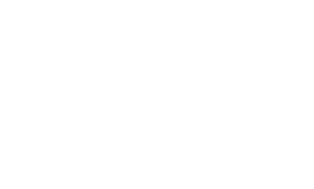 Stout Penn Station