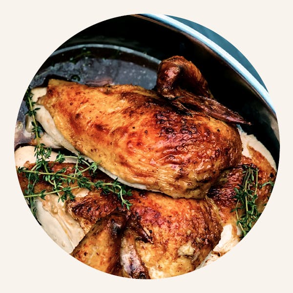 a close up of a plate of food
